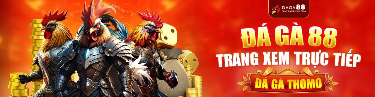 Trận đấu đá gà trực tuyến kịch tính tại gk88