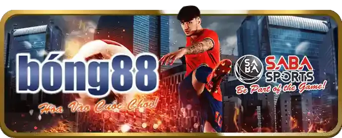 Bảo mật tối ưu